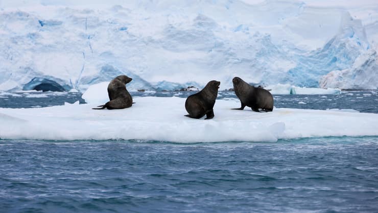 ירח דבש בקצה העולם