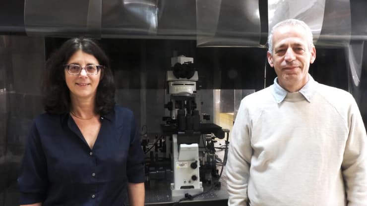 פרופ' חיים דימנט ופרופ' יעל רויכמן מבית הספר לכימיה באוניברסיטת תל אביב