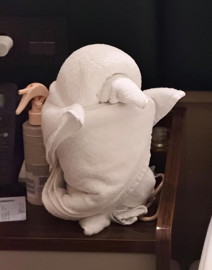 ירח דבש בקצה העולם