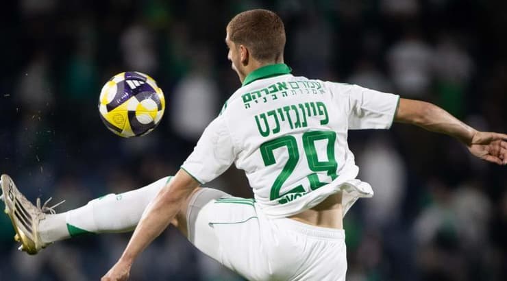 ינון פיינגזיכט משתלט