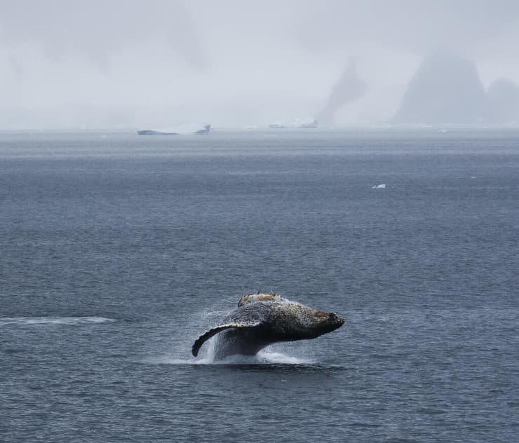 ירח דבש בקצה העולם