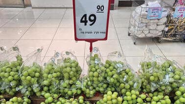 ענבים בכ-50 שקל לקילו. היבוא לא הוזיל את המחירים