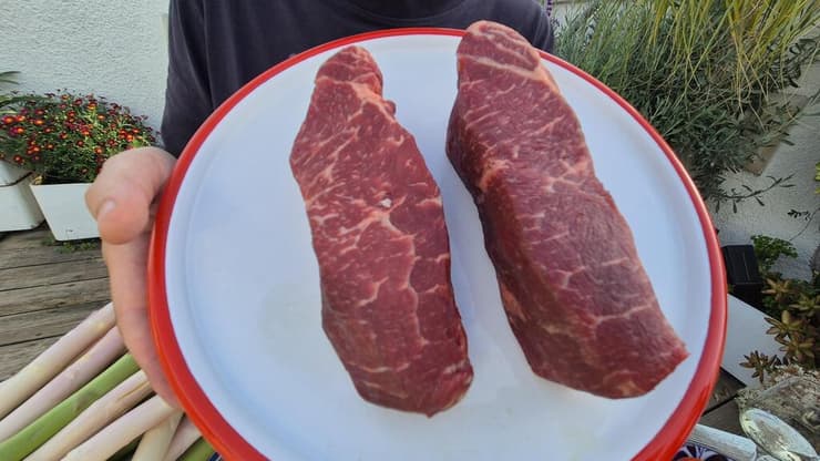 סינטה הולשטיין