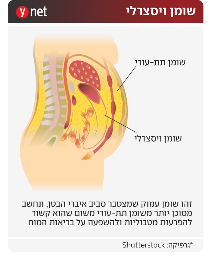 שומן ויסצרלי
