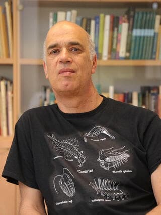 פרופ' אריאל צ'יפמן