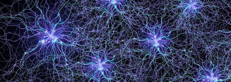 רשת נוירונים, מוח