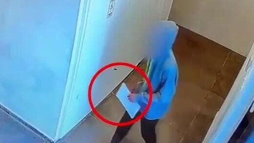 הקטין החשוד בהתעללות אכזרית בחתול