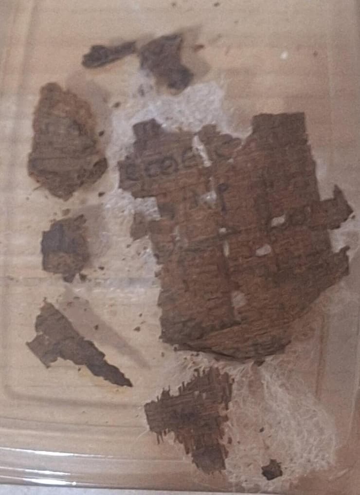 שרידי הפפירוס שהתגלו בבטן המומיה המצרית