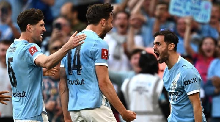 שחקני מנצ'סטר סיטי חוגגים בטירוף