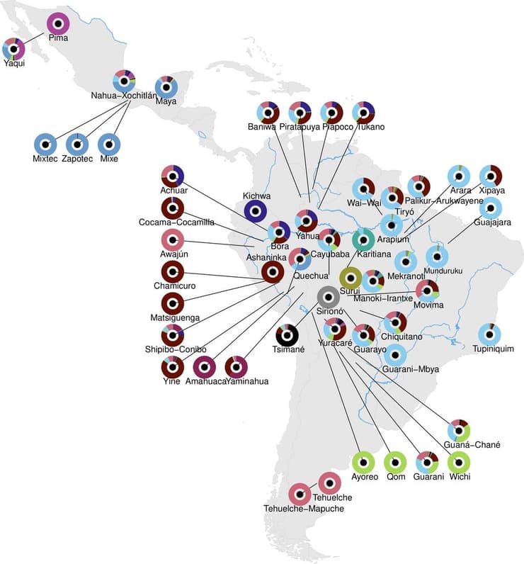 מוצא גנטי על בסיס הדנ"א שנותח במחקר