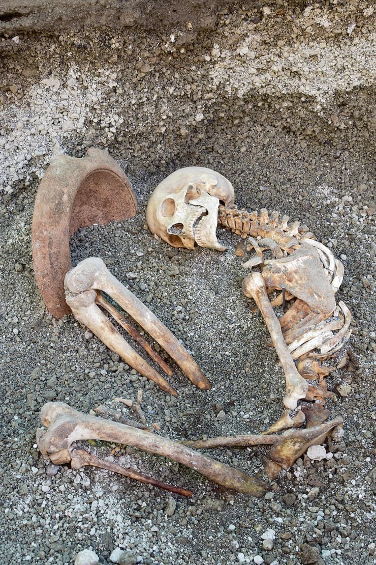 קורבן ההתפרצות הגעשית בפומפיי, שעל בסיס שרידי השלד שלו נוצרה ההדמיה באמצעות הבינה המלאכותית