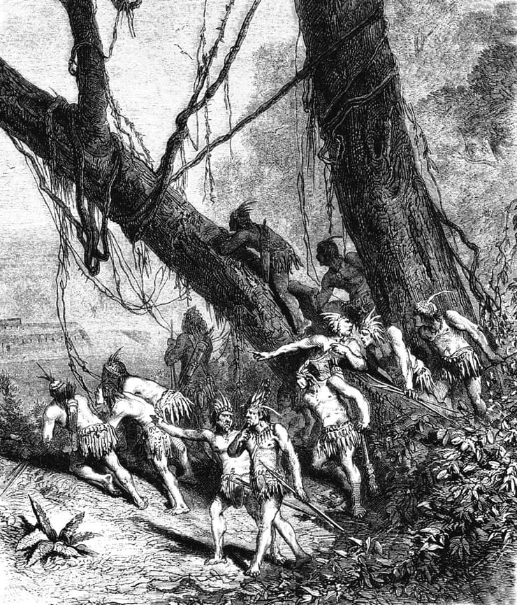 תרבות הטופי הילידית בברזיל