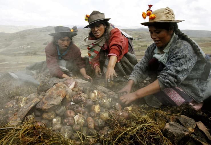 הכנת ארוחה מסורתית על ידי נשות תרבות הקצ'ואה בפרו
