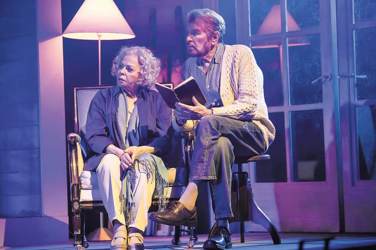 מתוך המחזמר "היומן", 2026