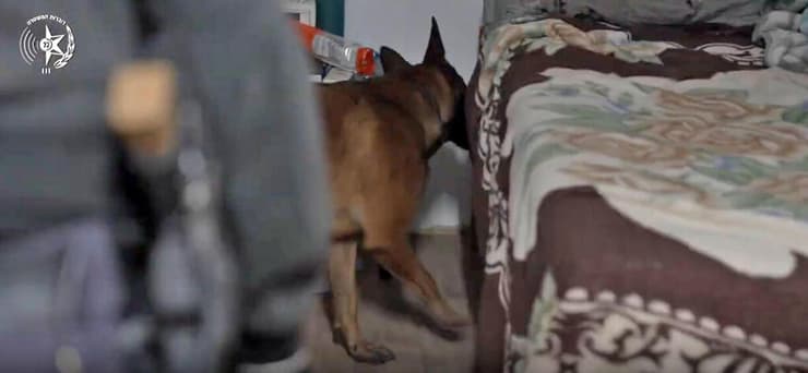 עשרות חשודים נעצרו בחשד לפרוטקשן בראשון לציון