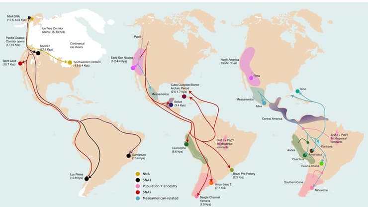 שלושה גלי פיזור עיקריים עיצבו את המגוון הגנטי של העמים הילידים של דרום אמריקה. החל מלפני כ-15 אלף שנה (משמאל), דרך ההגירה שהתרחשה לפני כ-9,000 שנה (במרכז) ועד ההגירה האחרונה שהתרחשה לפני כ-1,300 שנה (מימין)