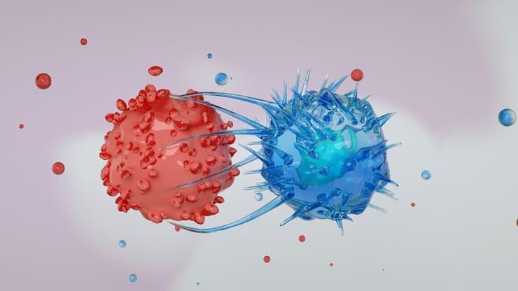 טיפול ב-CAR-T. אילוסטרציה