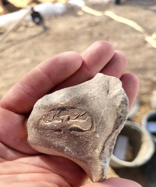 אחד משברי ידיות כדי החרס, שעליהן נחשפו הכתובות "למלך" ו"למלך חברון" בעברית. הידיות תוארכו למאה ה-8 לפני הספירה
