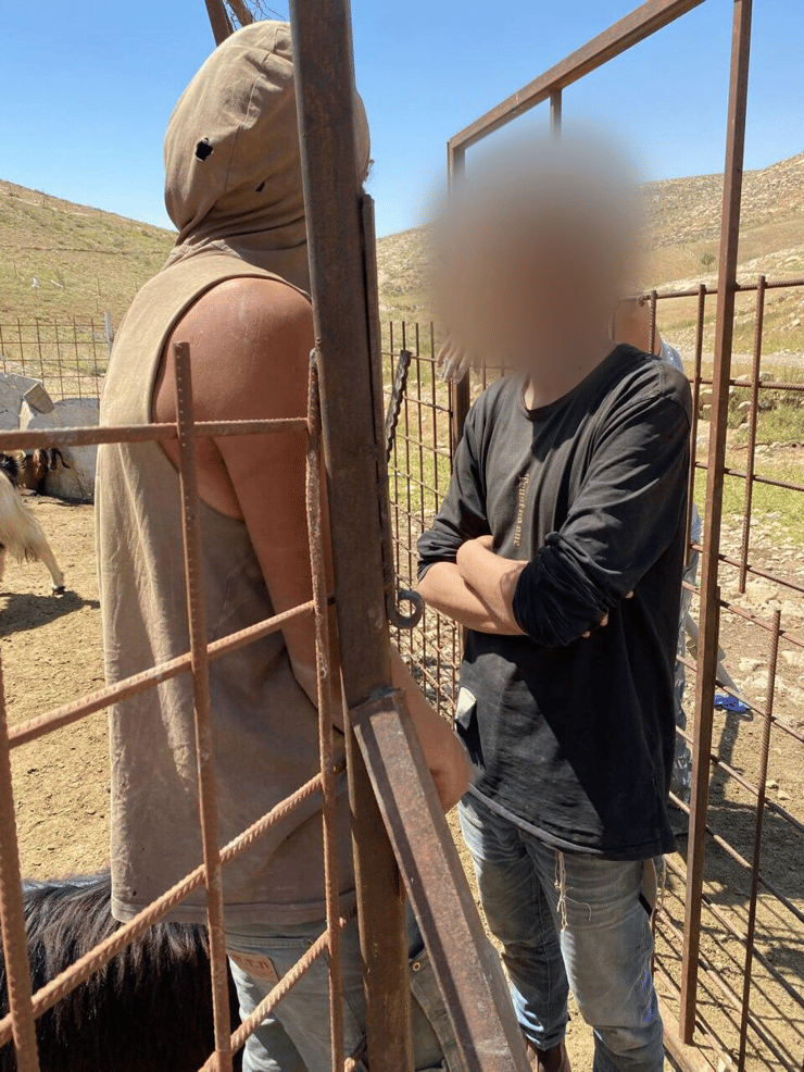 עימותים ב אזורים מסאפר יטא בדרום הר חברון בין פלטינים ו מתנחלים בשל בגלל ניסיון נסיונות גניבת עדרי צאן 