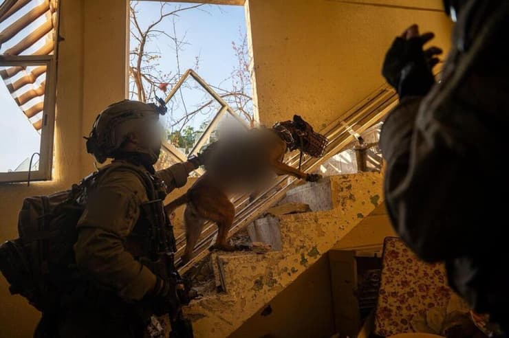 ברני בפעילות המבצעית בדרום לבנון