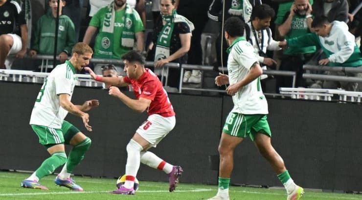 לויזוס לויזו בפעולה