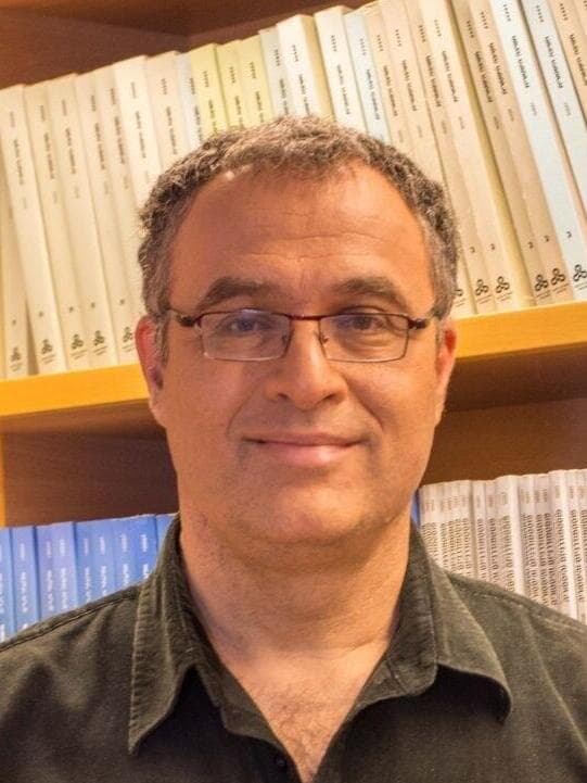 גיא מירון
