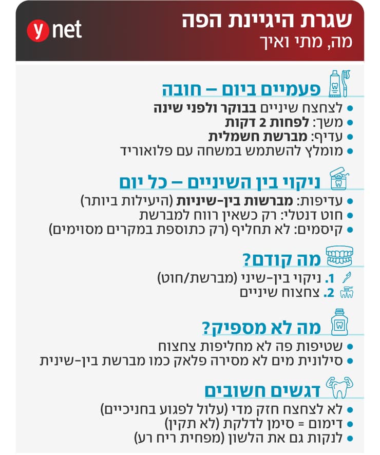 אינפו חניכיים צחצוח שיניים