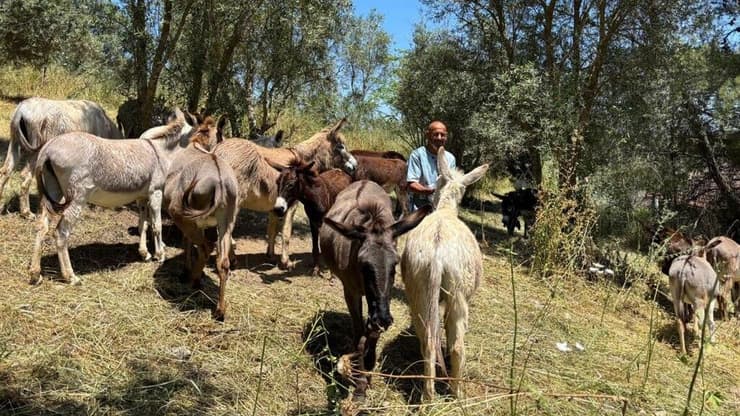 "הרווחנו 20 לוחמי אש חדשים ונמרצים עם מוטיבציית שיא". העדר של הלפרין   