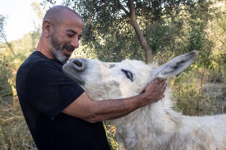 אלון עם אחד מחמוריו. "הטיפול הטוב ביותר שיכולתי לקבל"   