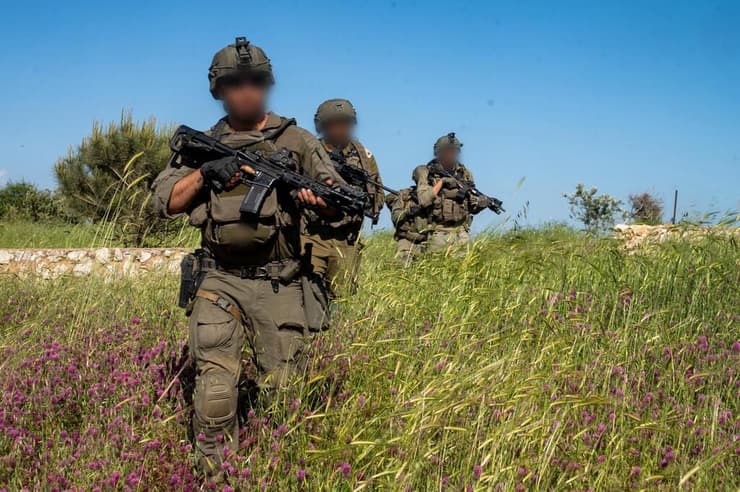 פעילות כוחות צה"ל בדרום לבנון