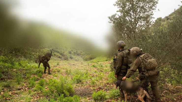 פעילות כוחות צה"ל בדרום לבנון