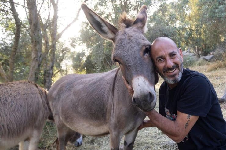 "חייב להם את העצירה של ההידרדרות שחוויתי". הלפרין ואחד מחמוריו    
