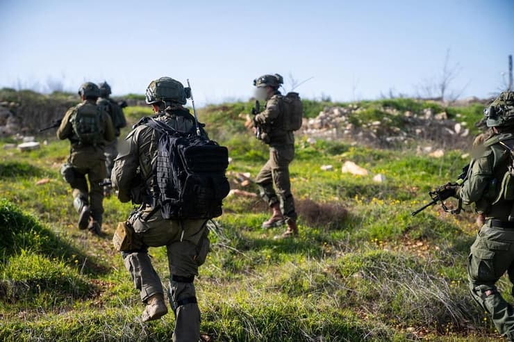 פעילות כוחות חטיבה 401 בדרום לבנון