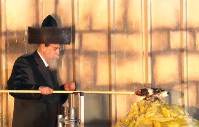 האדמו"ר מבויאן מדליק את האש