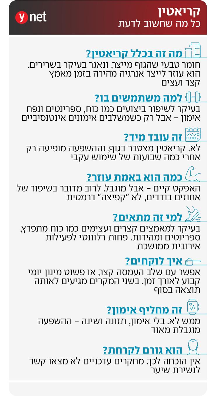 אינפו קריאטין 