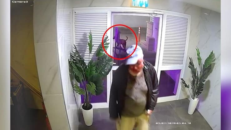 בוריס קוניק הנתקף מנשיכת הכלב באשדוד