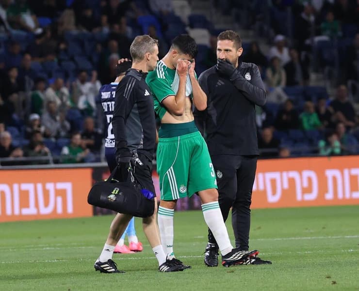אמיר