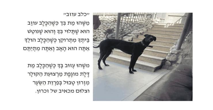 הכלב פהאד והשיר שצורף לעתירה