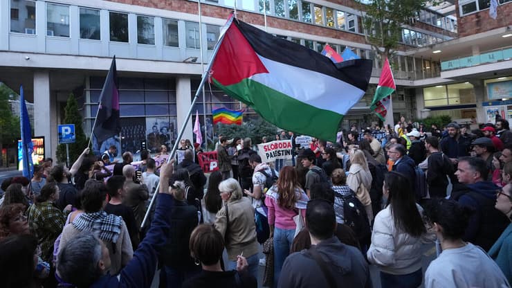 הפגנה פרו פלסטינית בווינה (צילום: AP Photo/Darko Vojinovic) הפגנה פרו פלסטינית בווינה