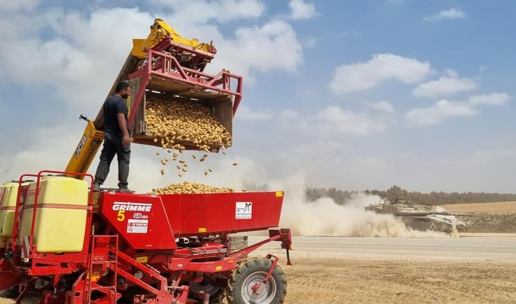 זורעים בין הזחלים
