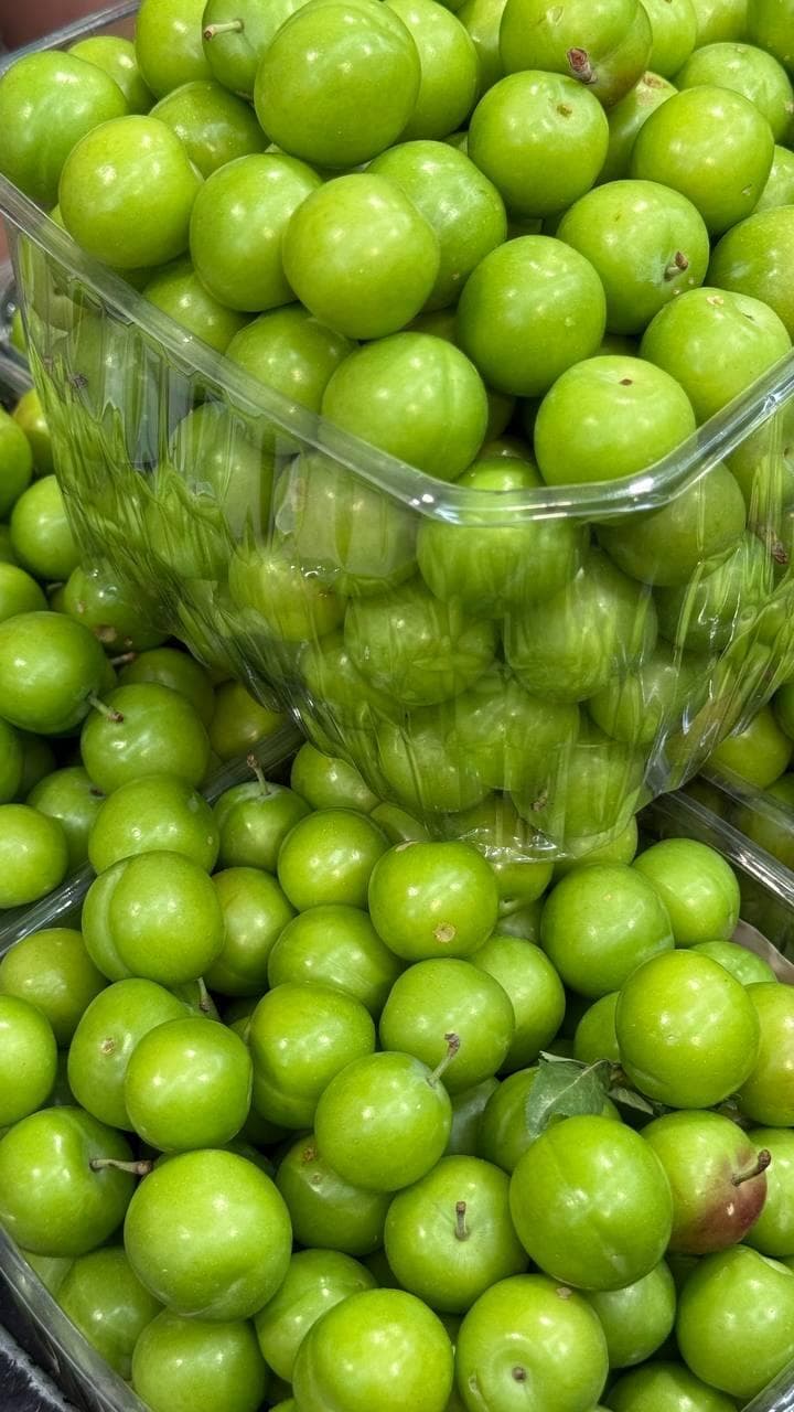 שזיף בוסר