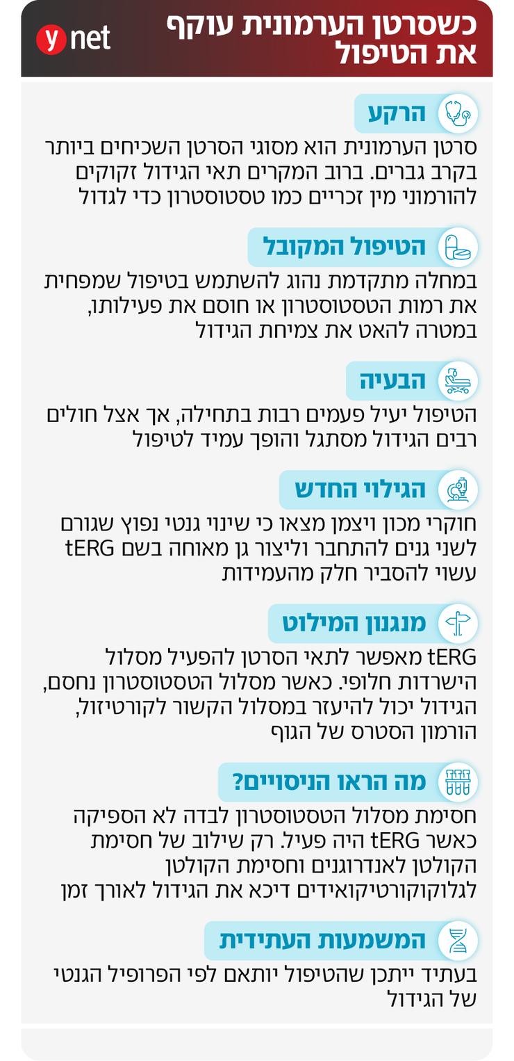 מחקר סרטן הערמונית מכון ויצמן אינפו