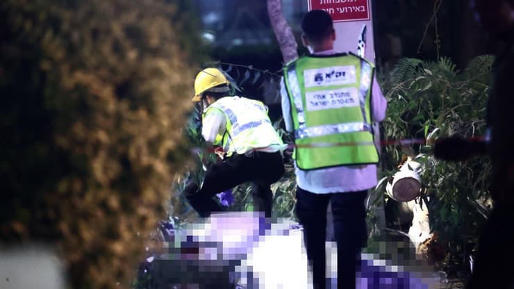 מקום האסון באסף הרופא, זמן קצר לאחר שדמיטרי לברוב נהרג (צילום: מוטי קמחי) הזירה באסף הרופא, גבר נהרג מקריסת עץ