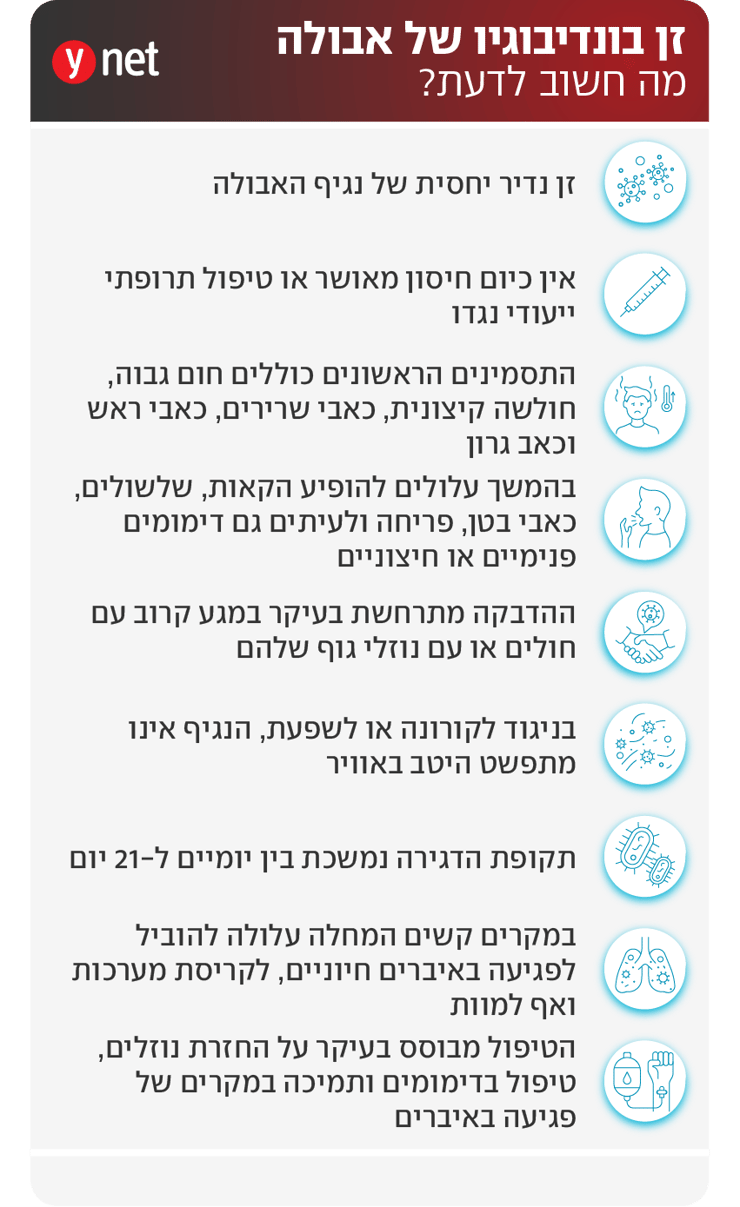 אינפו אבולה