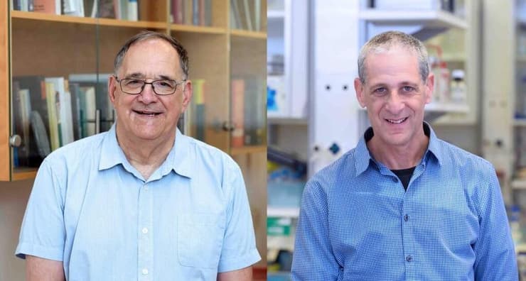 מימין: פרופ' יוסי פלטיאל ופרופ' רון נעמן (צילום: מכון ויצמן למדע) מימין: פרופ' יוסי פלטיאל ופרופ' רון נעמן