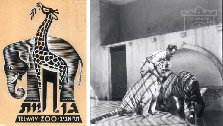 גני החיות הפכו מאתרים תיירותיים בעיקרם למרכזי חינוך מחקר ושמירת טבע. טיגריסים בגן החיות של תל אביב מימין ולוגו הגן משמאל