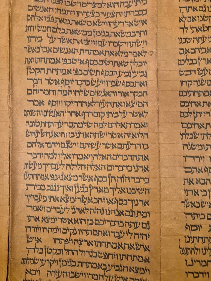 אחד העמודים בספר התורה העתיק (צילום באדיבות אנו - מוזיאון העם היהודי) אחד העמודים בספר התורה העתיק
