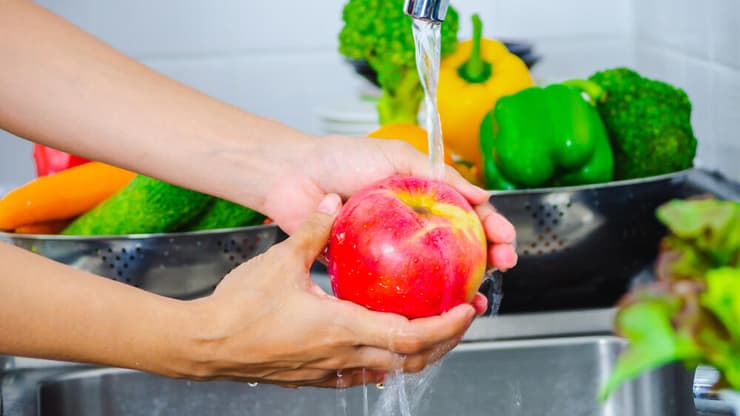 החוקרים מצאו כי משתתפי המחקר דיווחו על תזונה בריאה מהממוצע (צילום: Shutterstock) הדברה, פירות, ירקות