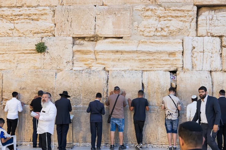מתגיירים מתפללים בצמוד לכותל המערבי (צילום: חיים טויטו) מתגיירים מתפללים בצמוד לכותל המערבי