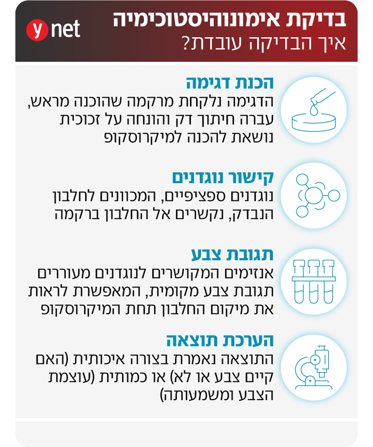 בדיקת אימונוהיסטוכימיה